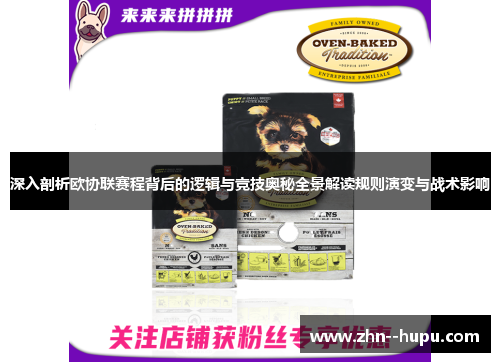 深入剖析欧协联赛程背后的逻辑与竞技奥秘全景解读规则演变与战术影响